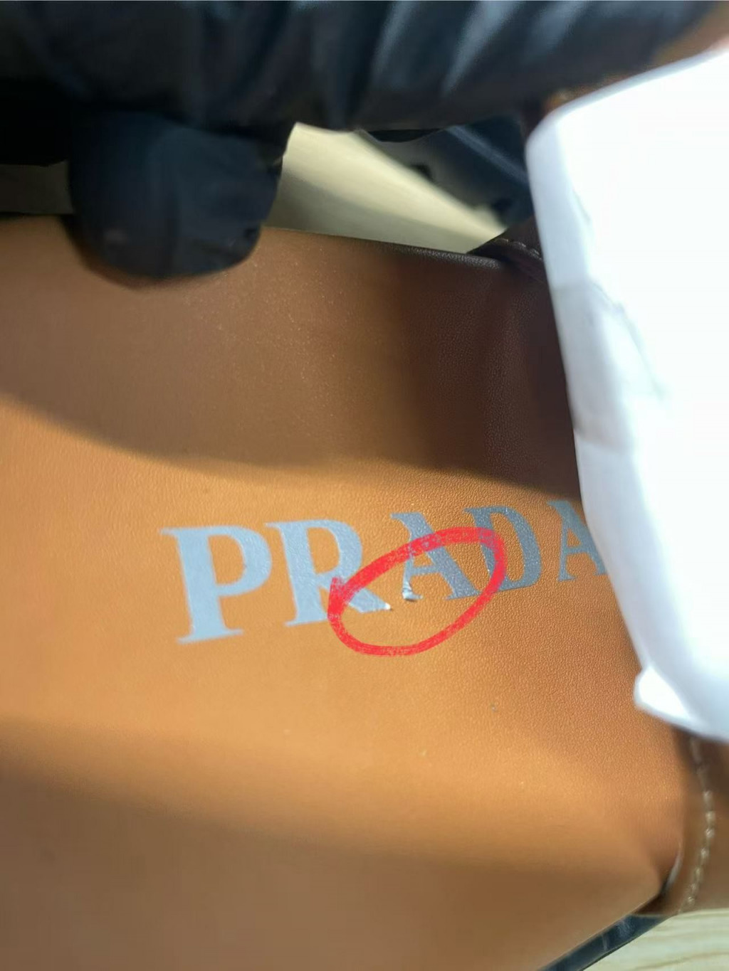 검수사진