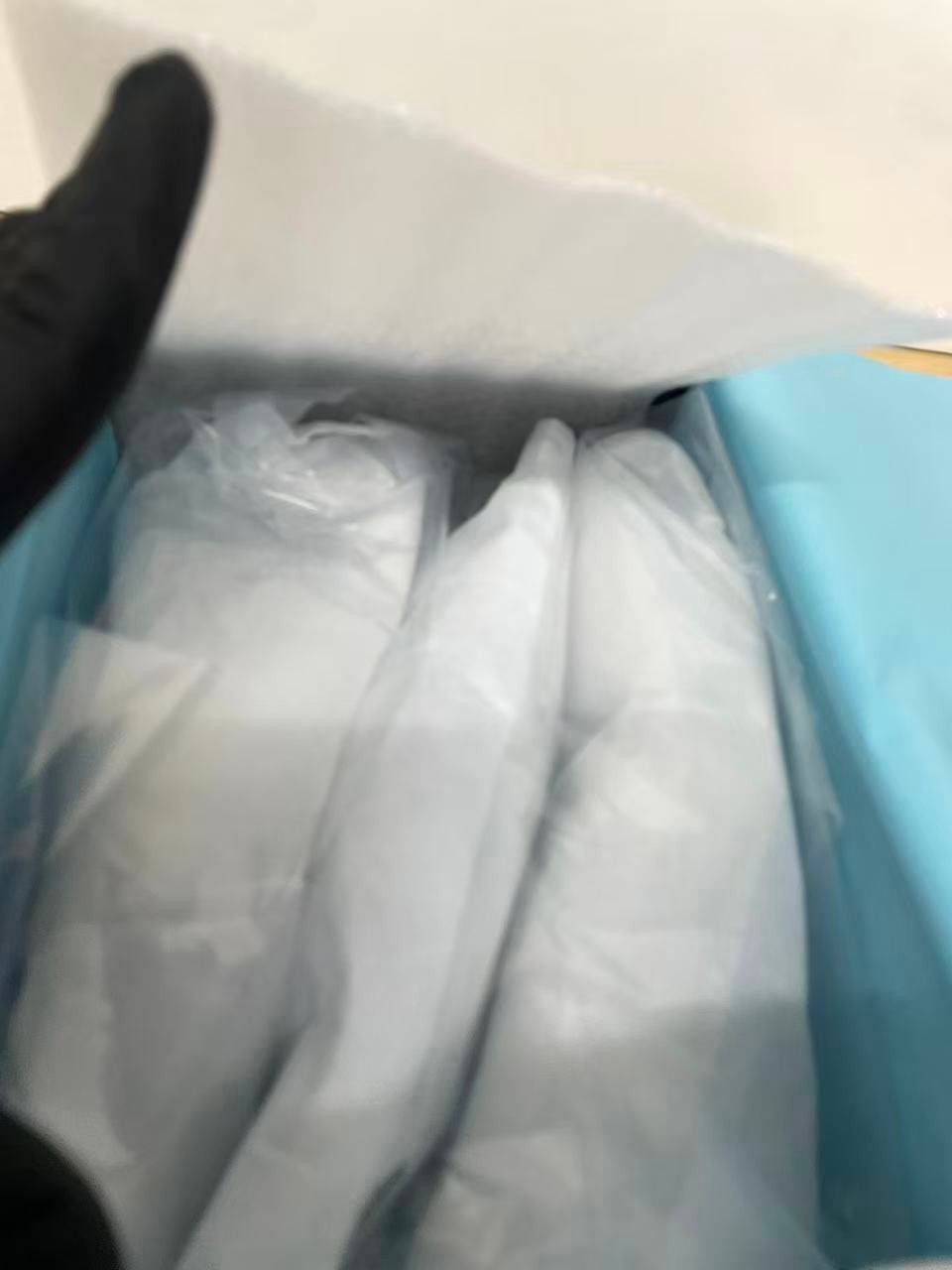 검수사진
