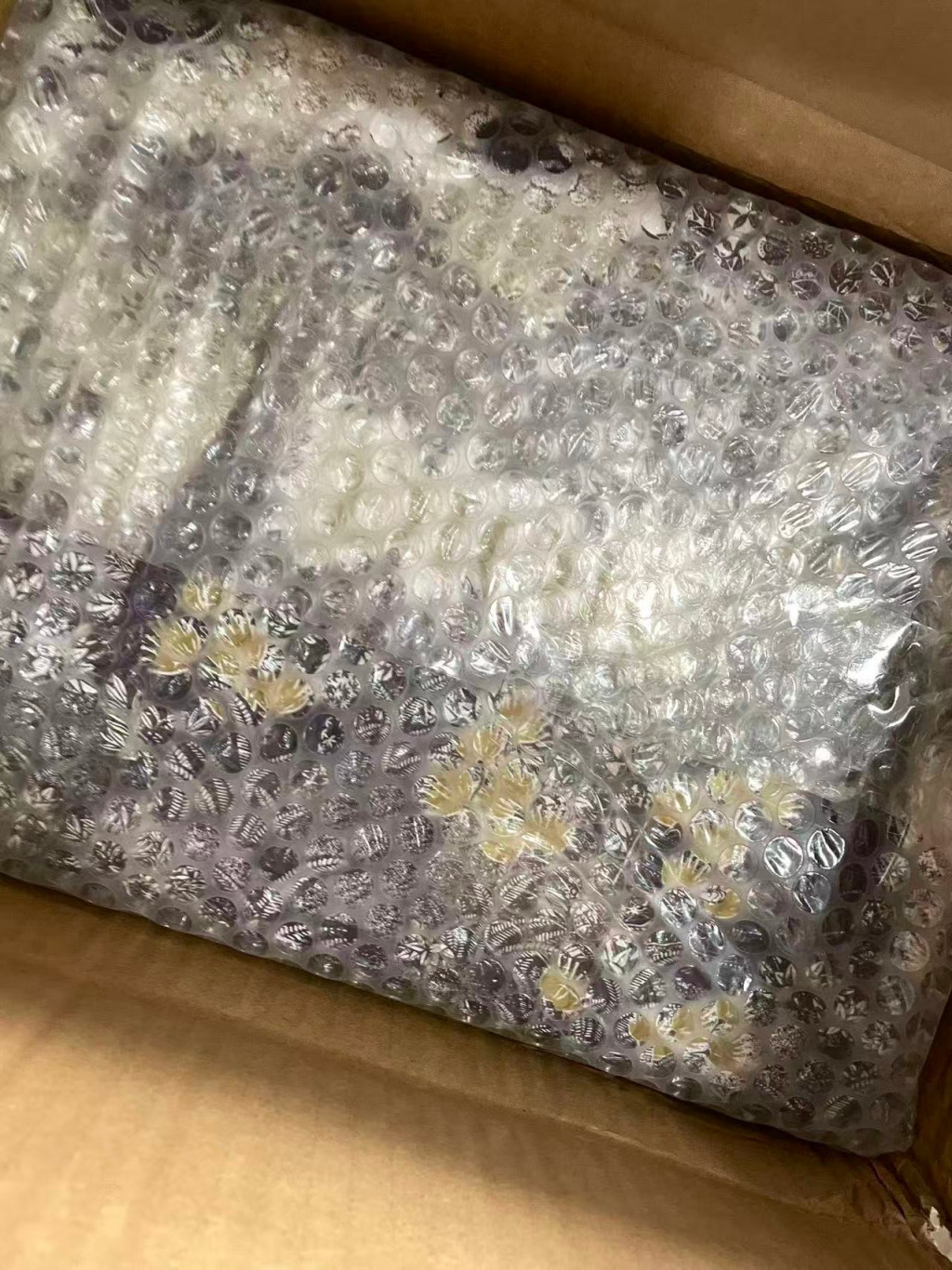 검수사진