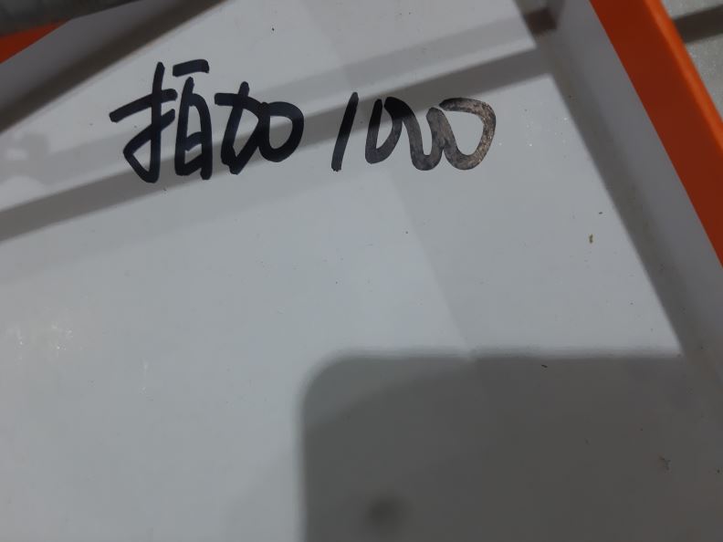 검수사진