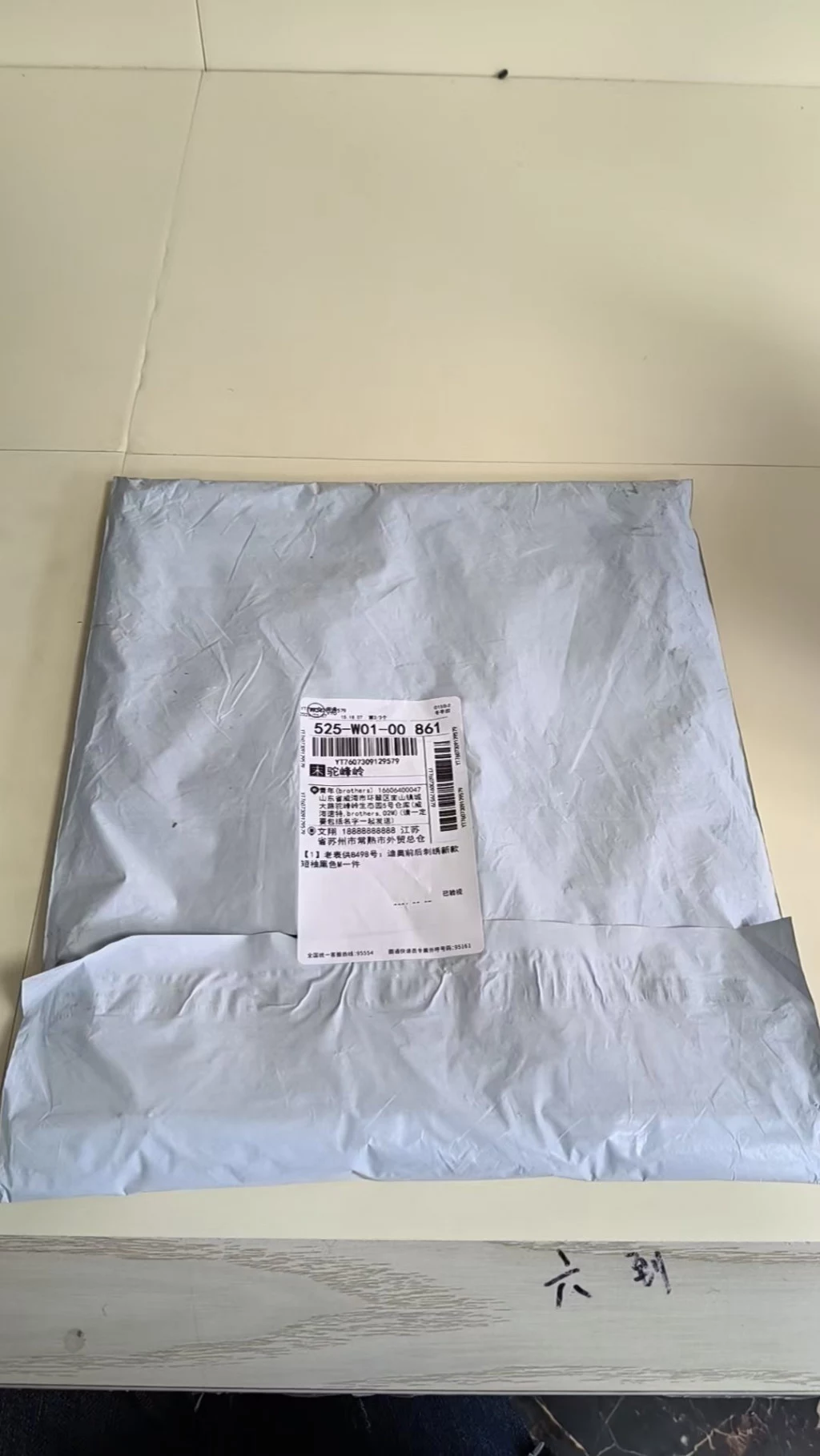 디올 CD 로고 앞자수 백레터링 자수 코튼 반팔 출고 전 검수사진 1