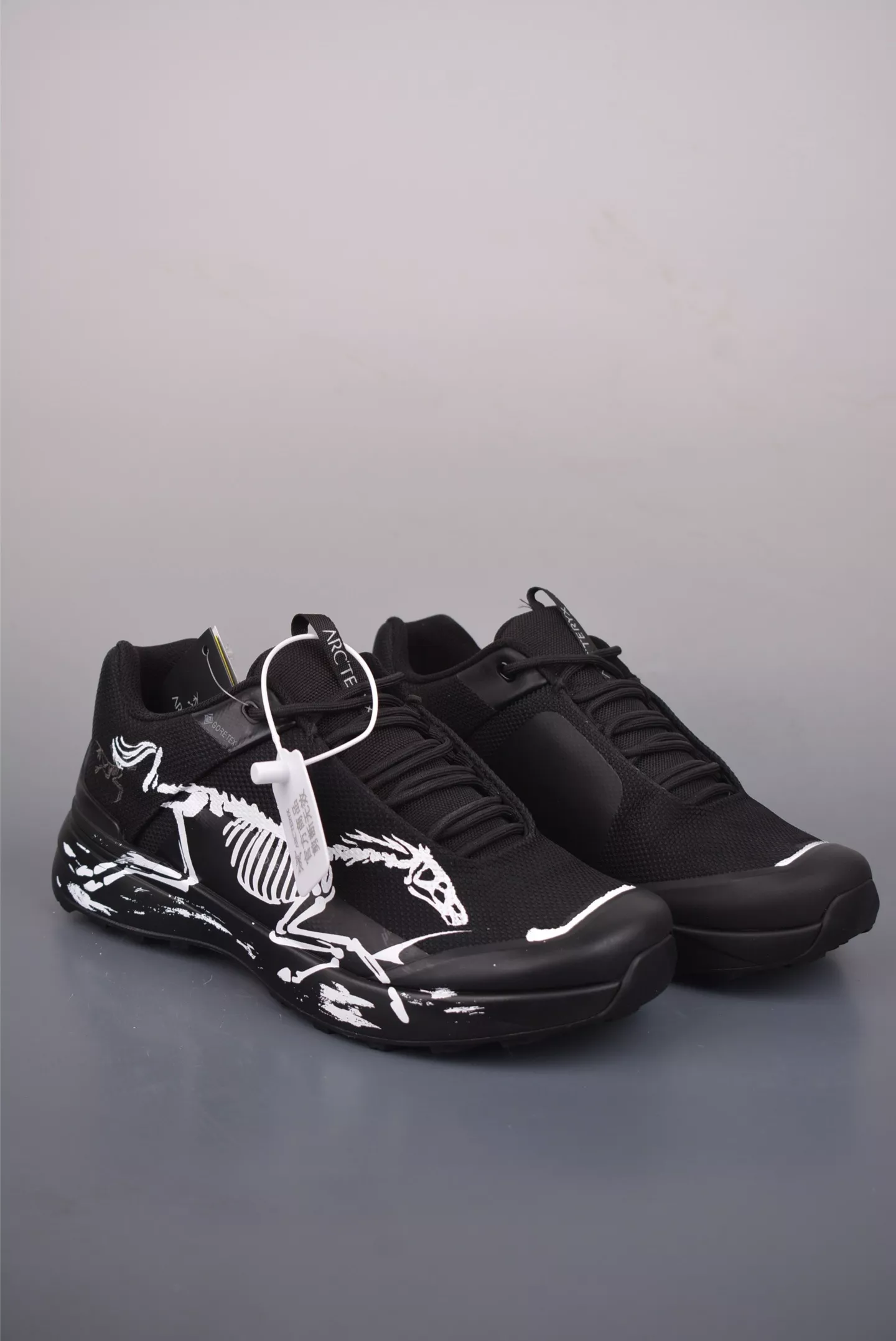아크테릭스 콘실 LT GORE-TEX 트레일화 상세 이미지 1
