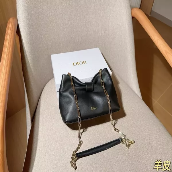 디올 리본 포인트 체인 숄더백