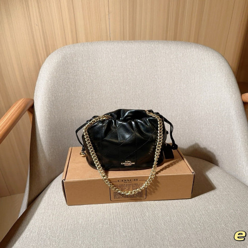 코치 페이 드로스트링 체인 버킷백
