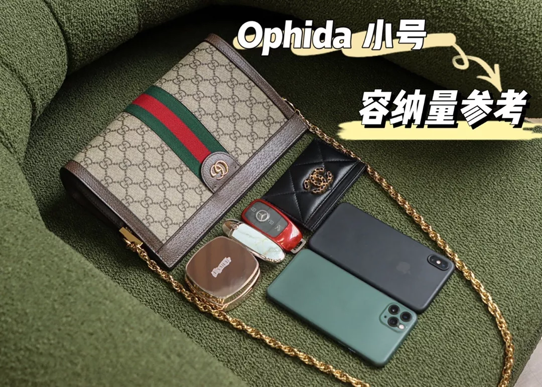 구찌 GG 오피디아 스몰 체인 숄더백 상세 이미지 32