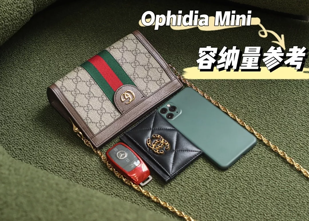 구찌 오피디아 미니 체인백 상세 이미지 30