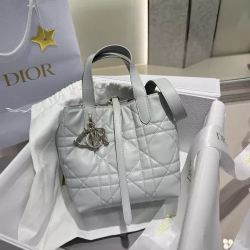 디올 디투주르 버티컬 스몰 토트백