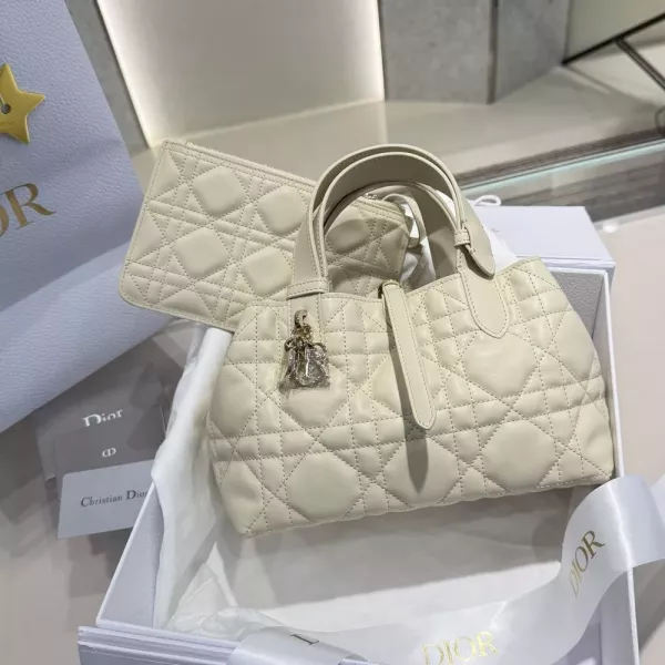 디올 레이디 디올 업그레이드 버전 스몰