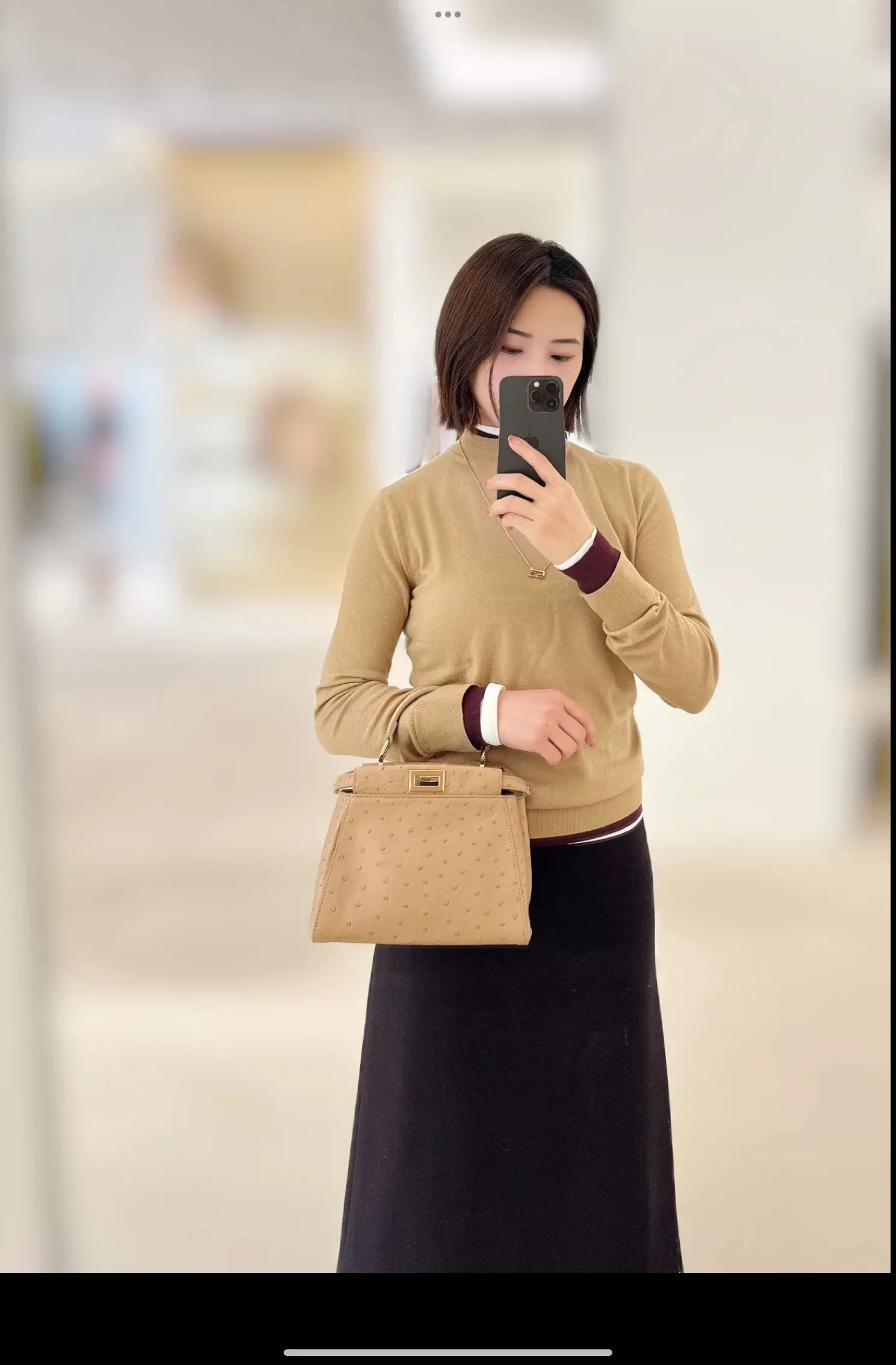 펜디 피카부 오스트리치 레더 핸드백 상세 이미지 21