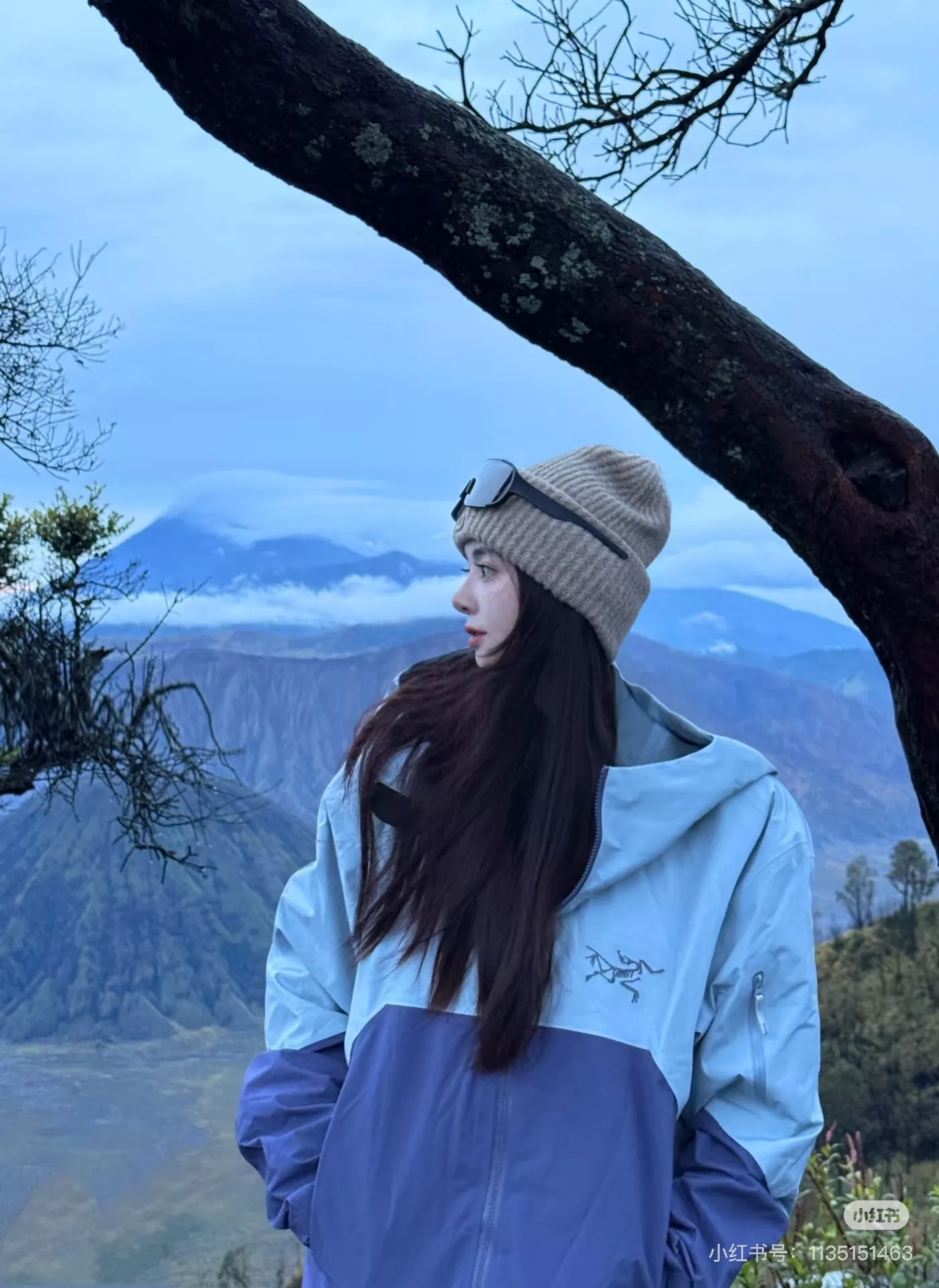 body_8673db6b6126d546.webp
