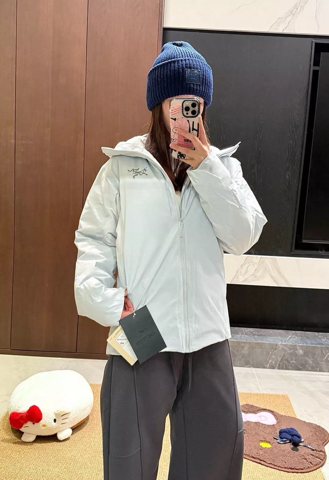 아크테릭스 솔라노 다운 GTX 후디 재킷 상세 이미지 23
