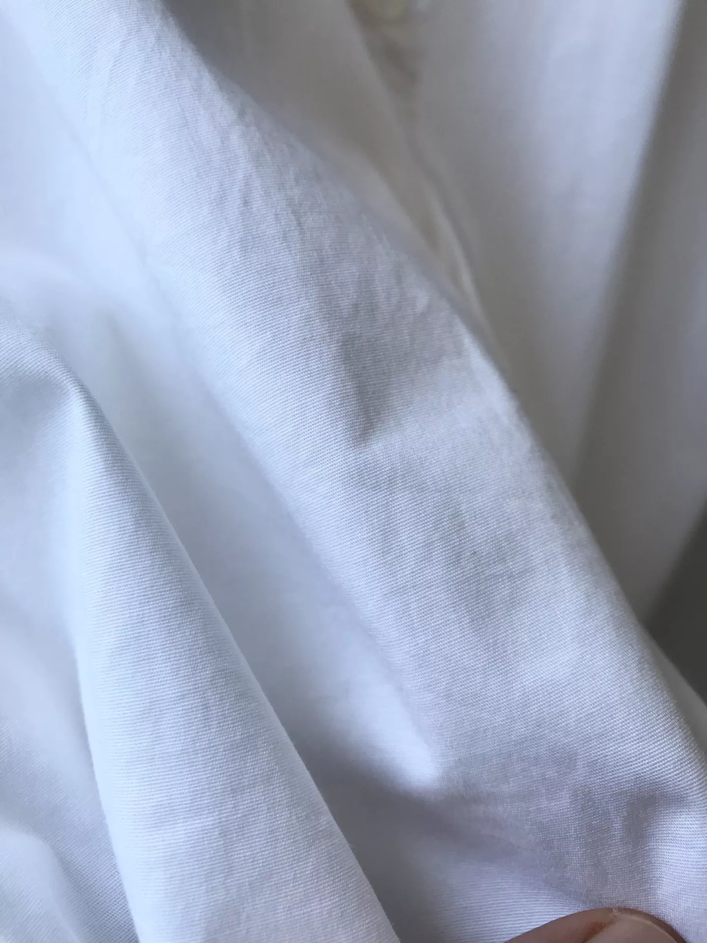 로로피아나 심플 로고 자수 고급 코튼 긴소매 셔츠 상세 이미지 22