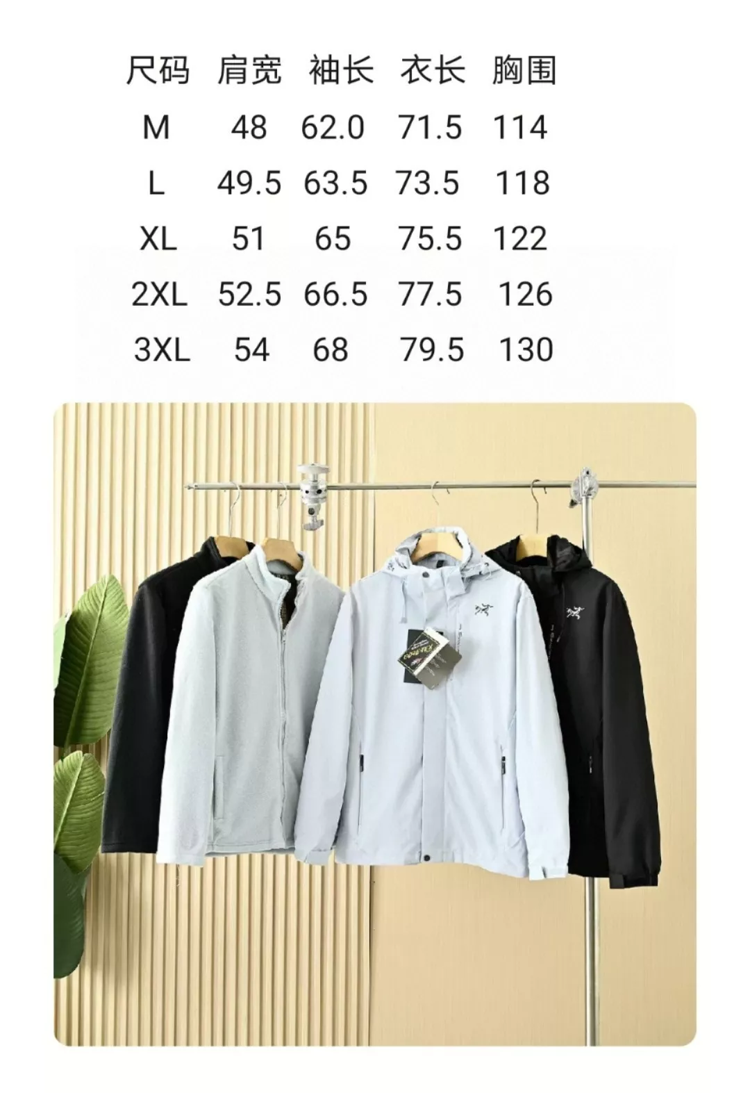 body_a02020ede9c3ae8b.webp