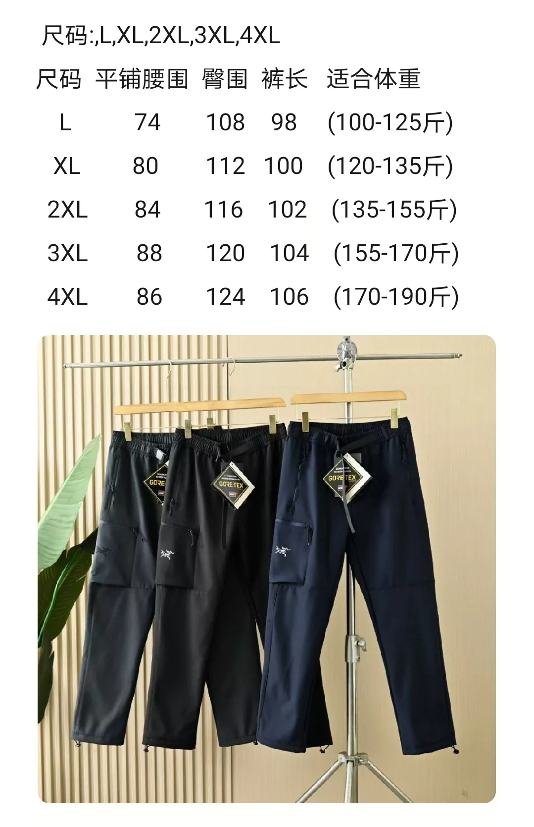 body_7594fa8046dda53e.webp