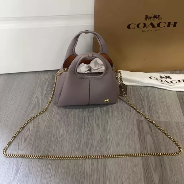코치 라나 미니 바스켓 체인 핸드백