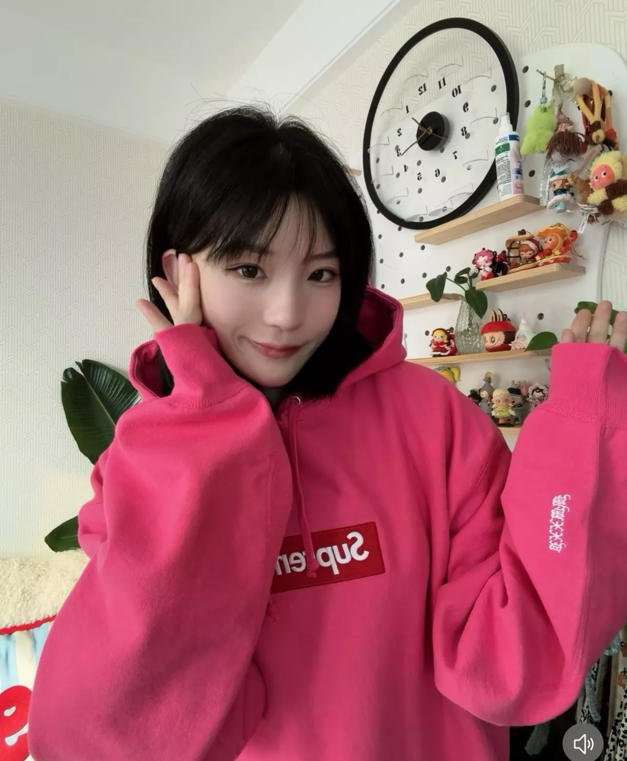슈프림 FW25 박스로고 자수 후드 스웨트셔츠 상세 이미지 26
