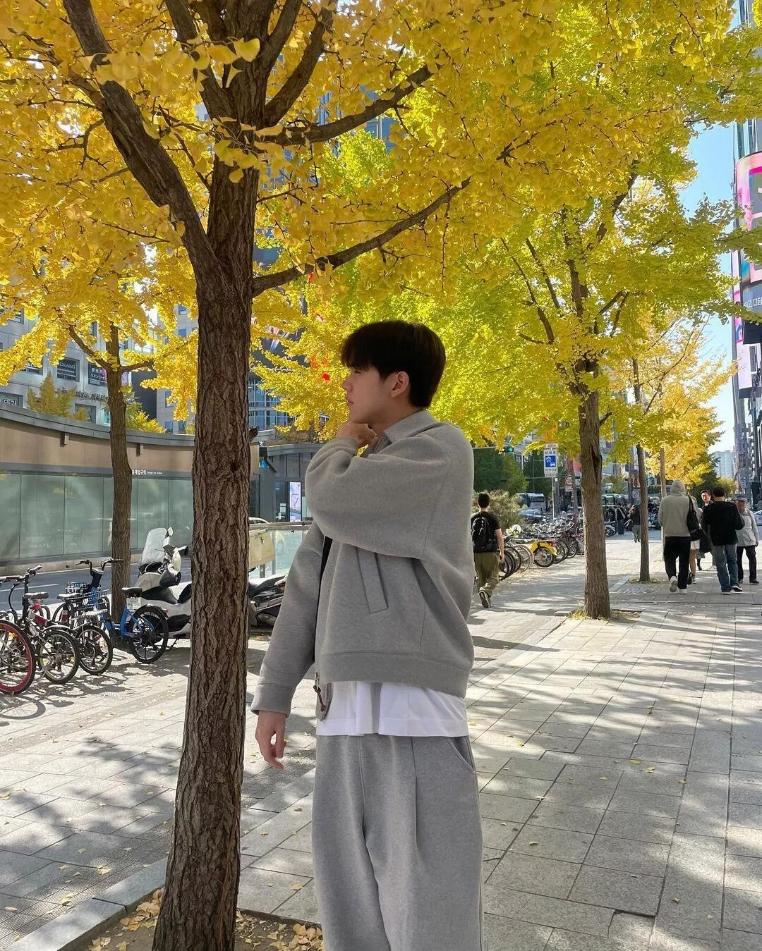 미우미우 평직 니트 쇼트 집업 재킷 상세 이미지 18