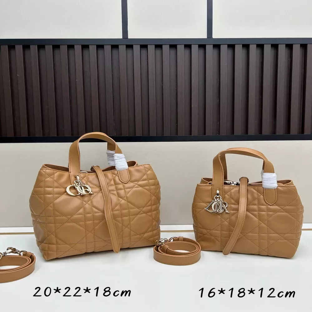 디올 뚜주흐 버티컬 핸드백