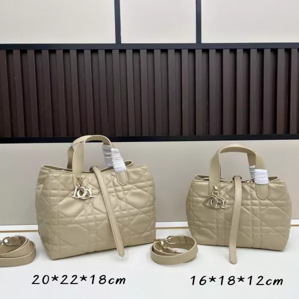 디올 뚜쥬르 버티컬 핸드백 미디엄