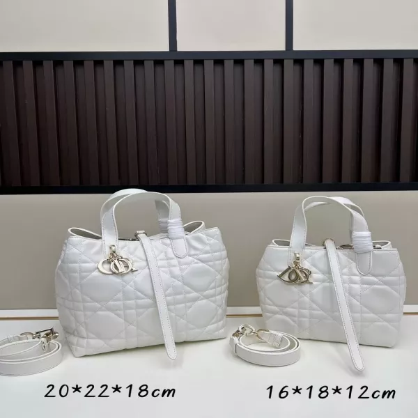 디올 뚜쥬르 세로형 핸드백 미디움