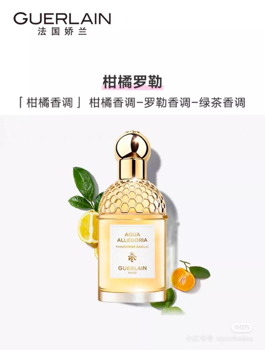 겔랑 아쿠아 알레고리아 만다린 바질릭 오 드 뚜왈렛 75ml 상세 이미지 14