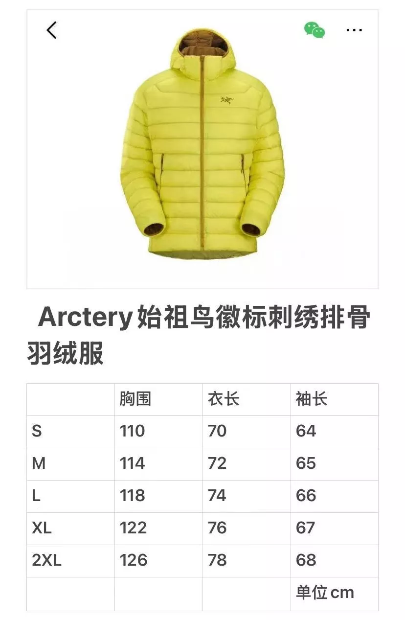 아크테릭스 세륨 경량 후드 다운 재킷 상세 이미지 11