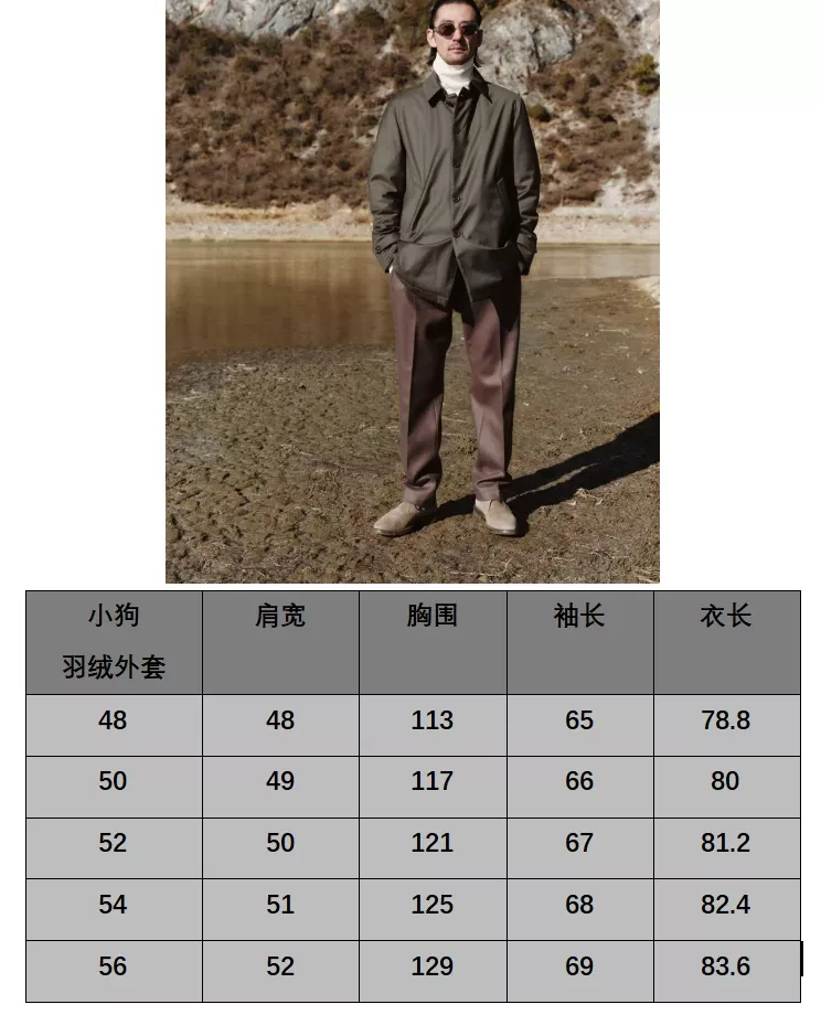 body_fffcbddafbfb74cf.webp