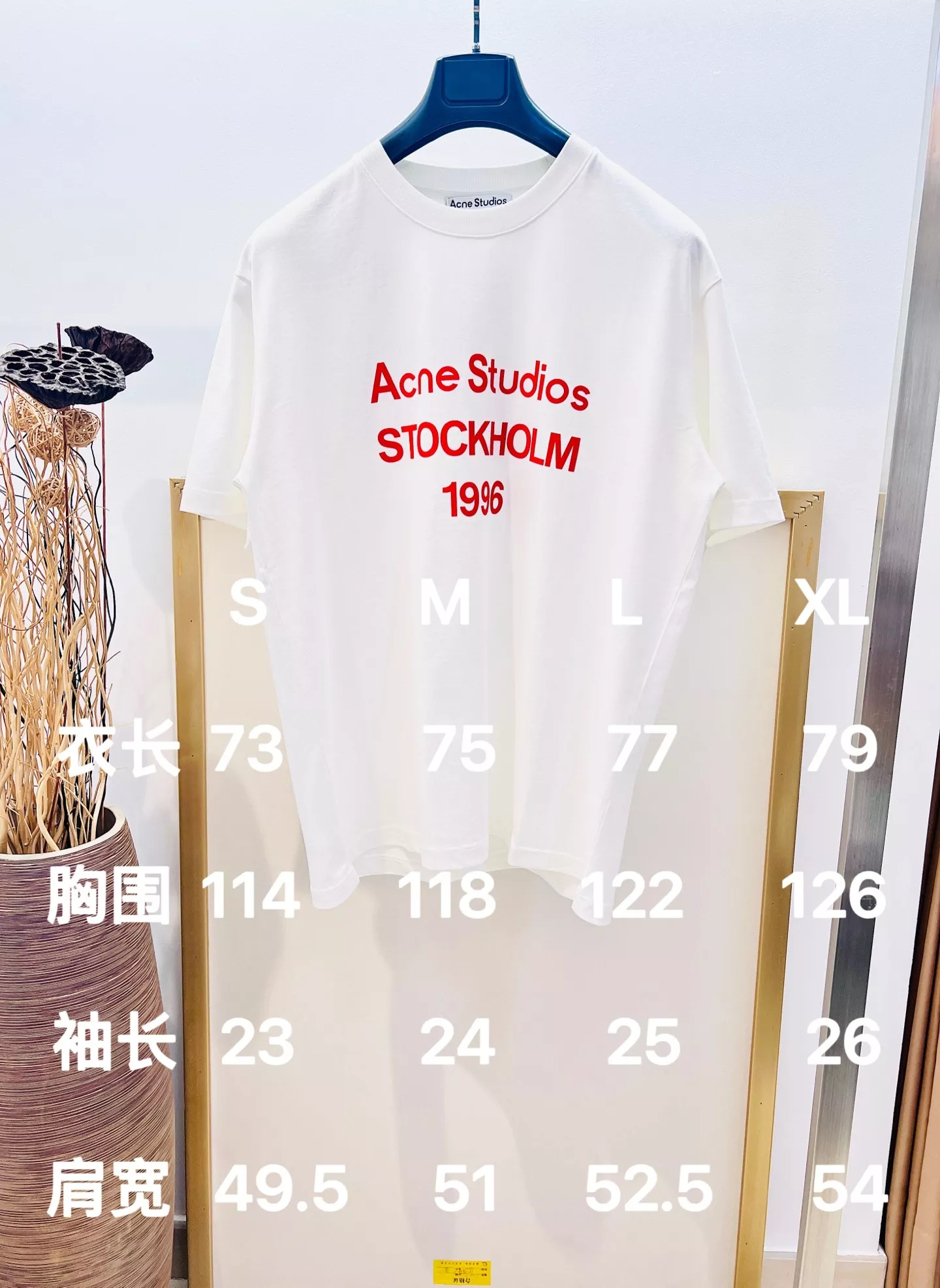body_aa3577a43c2c1107.webp