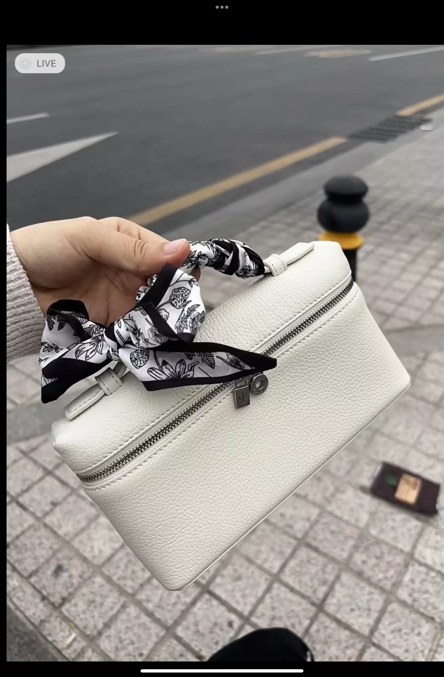 로로피아나 L19 레더 미니 백 상세 이미지 10
