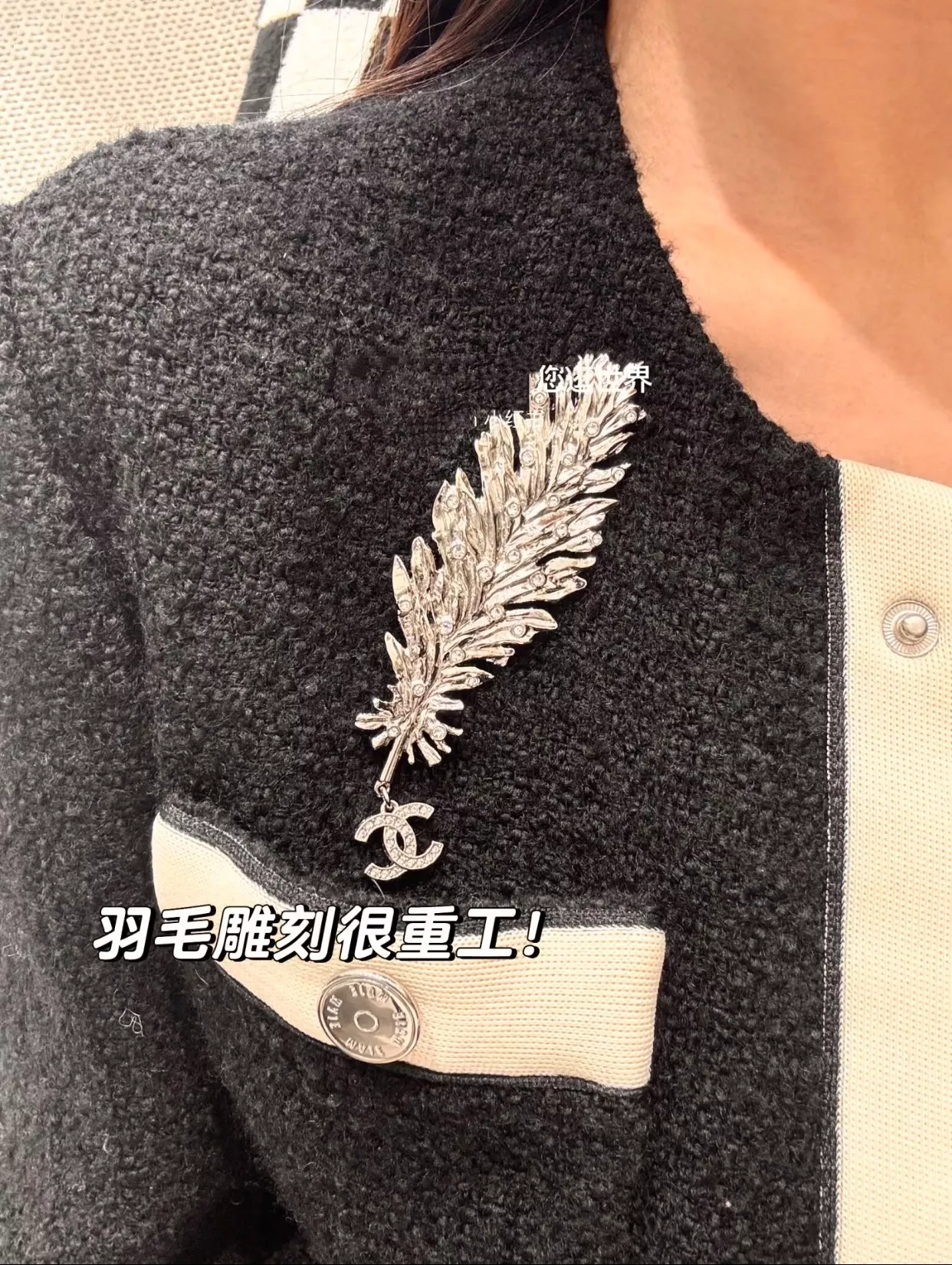샤넬 더블C 로고 깃털 장식 브로치 상세 이미지 7