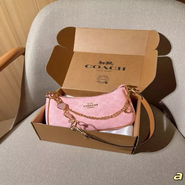 코치 테리 체인 스트랩 호보백