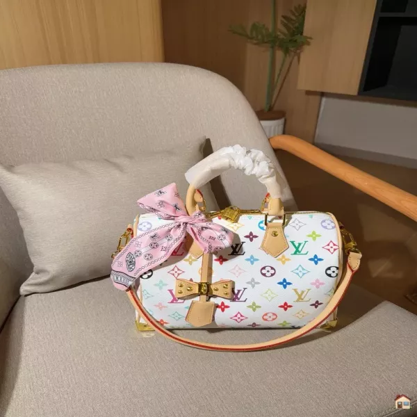 루이비통 멀티컬러 스피디 트렁크 백