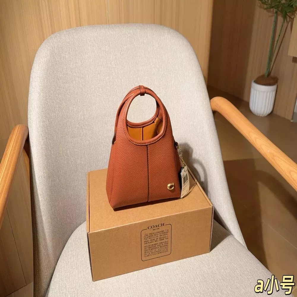 코치 라나 미니 버킷백