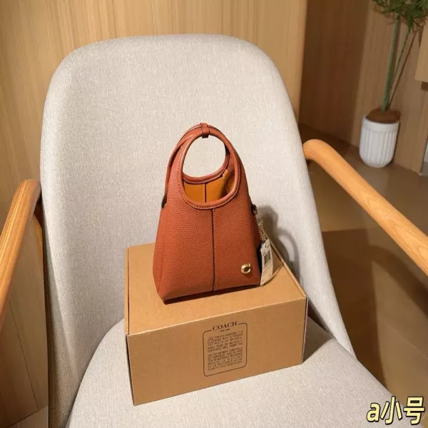 코치 라나 미니 버킷백