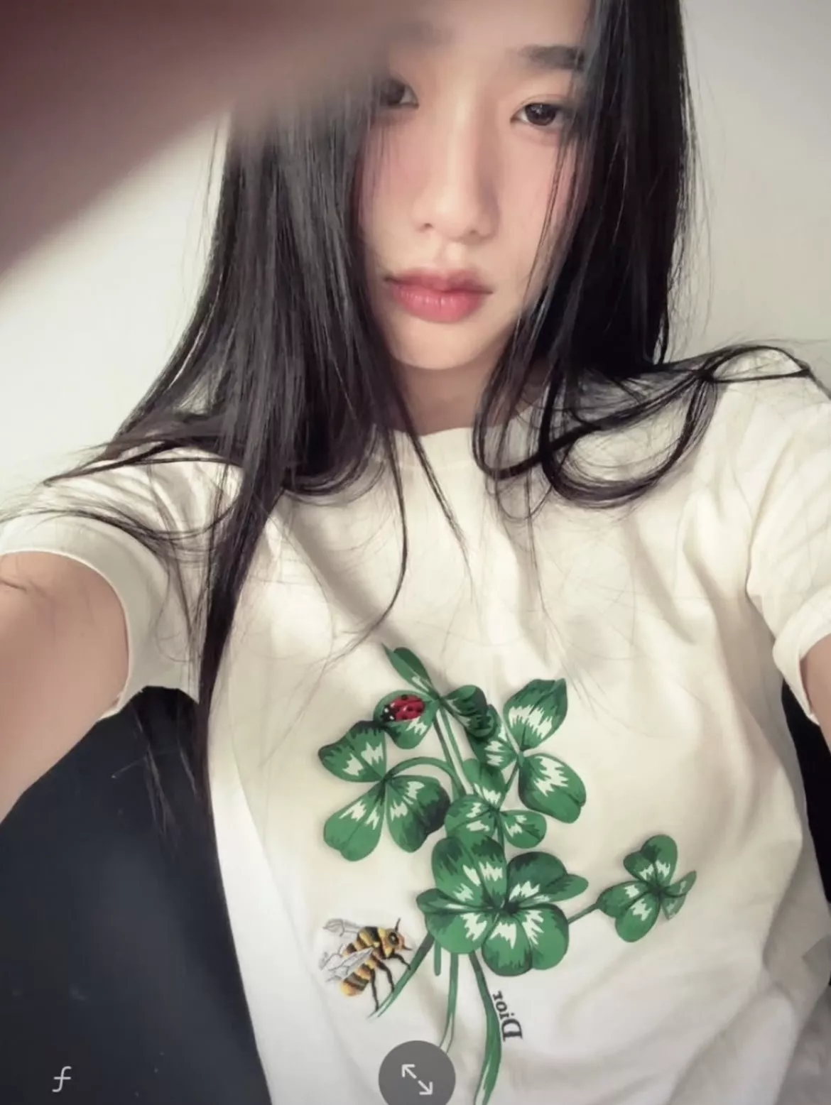 디올 클로버 레이디버그 프린트 티셔츠 상세 이미지 20