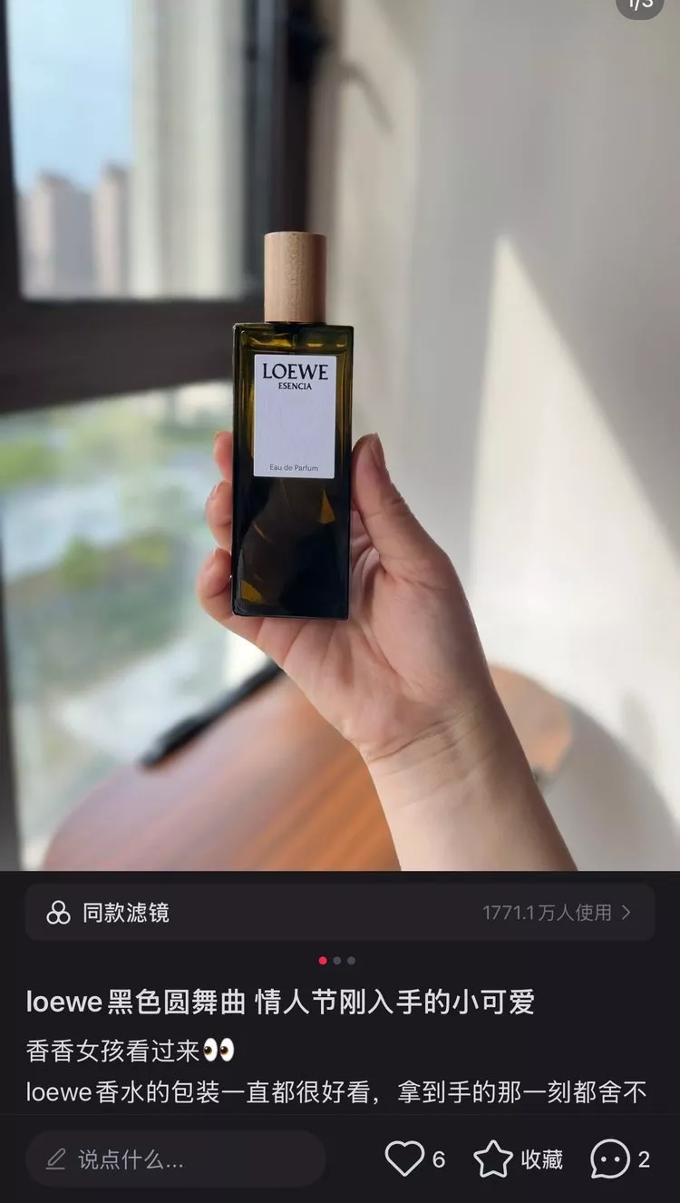 로에베 우드향 홈 프래그런스 스프레이 세트 상세 이미지 37