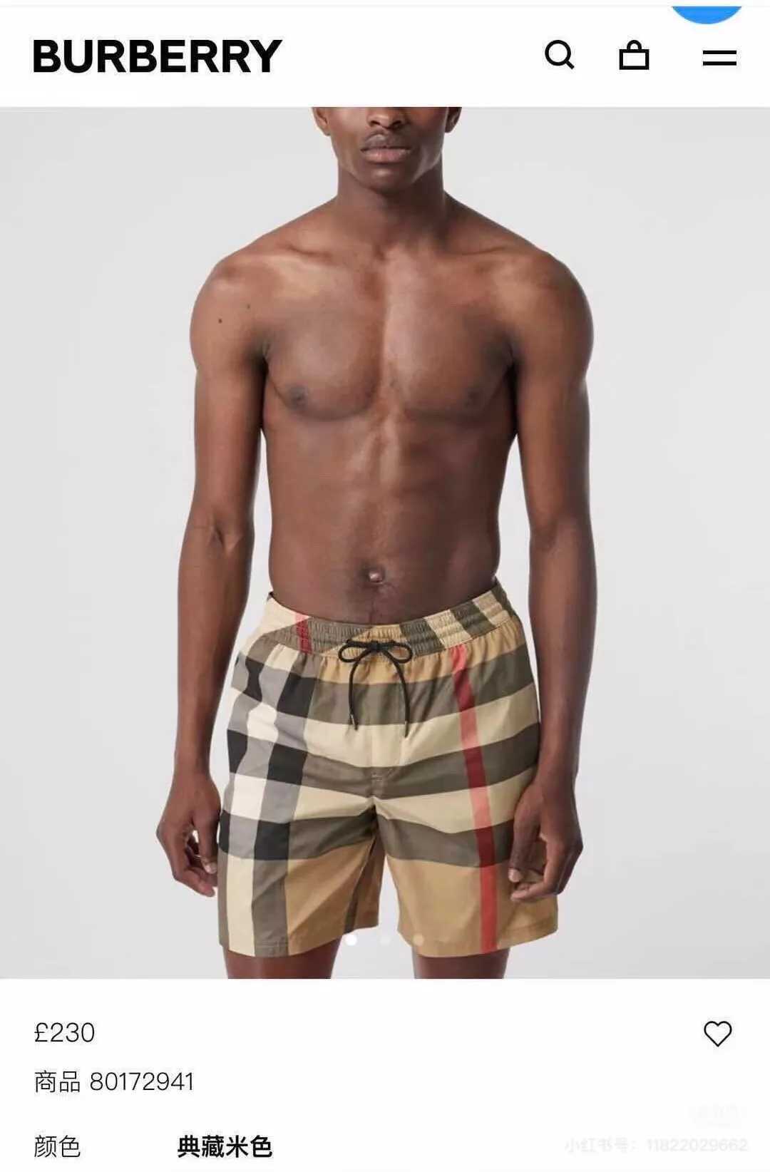 body_8cfff5cb352d7553.webp