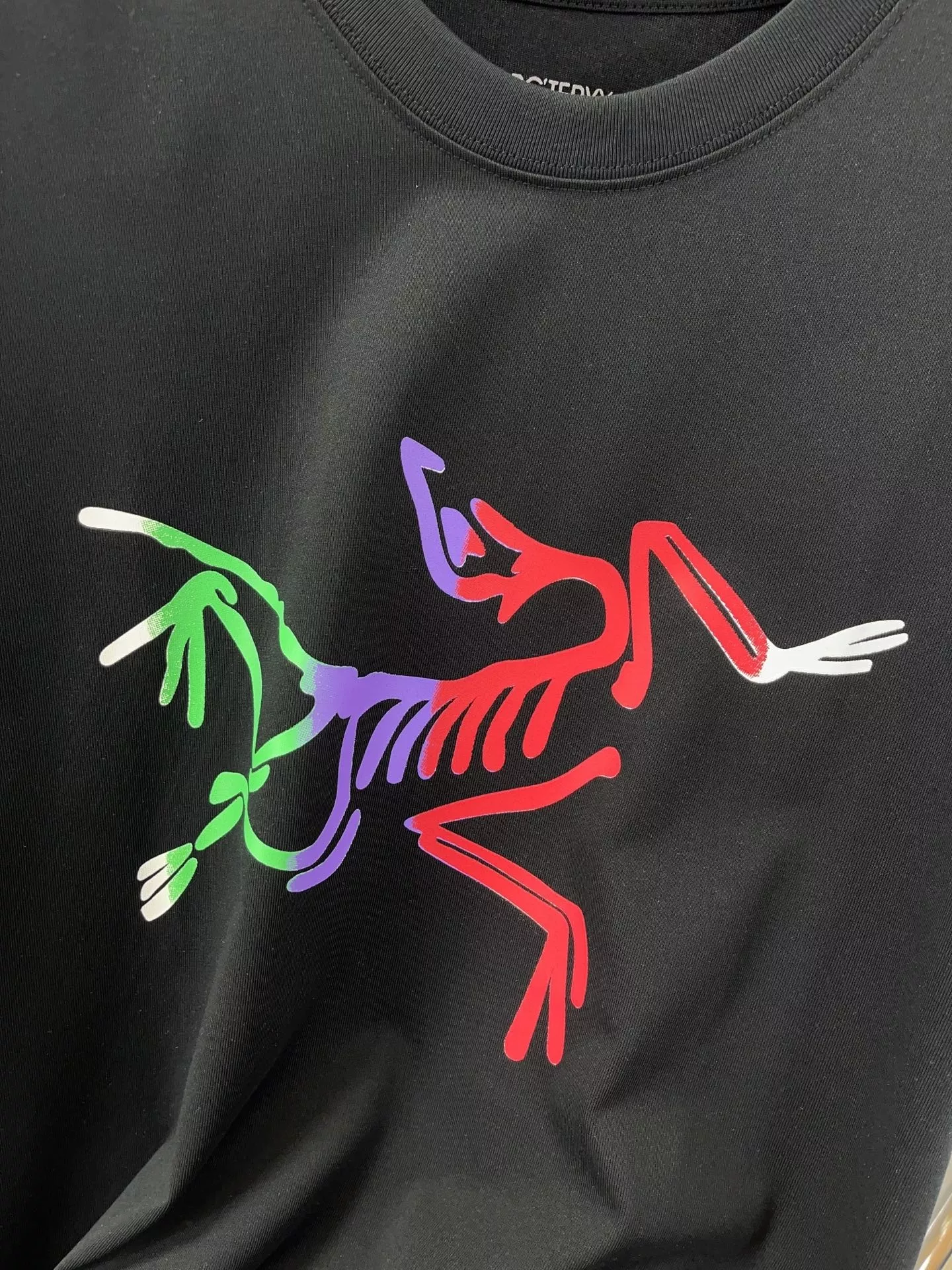 아크테릭스 컬러 버드 로고 프린팅 반팔 티셔츠 상세 이미지 8