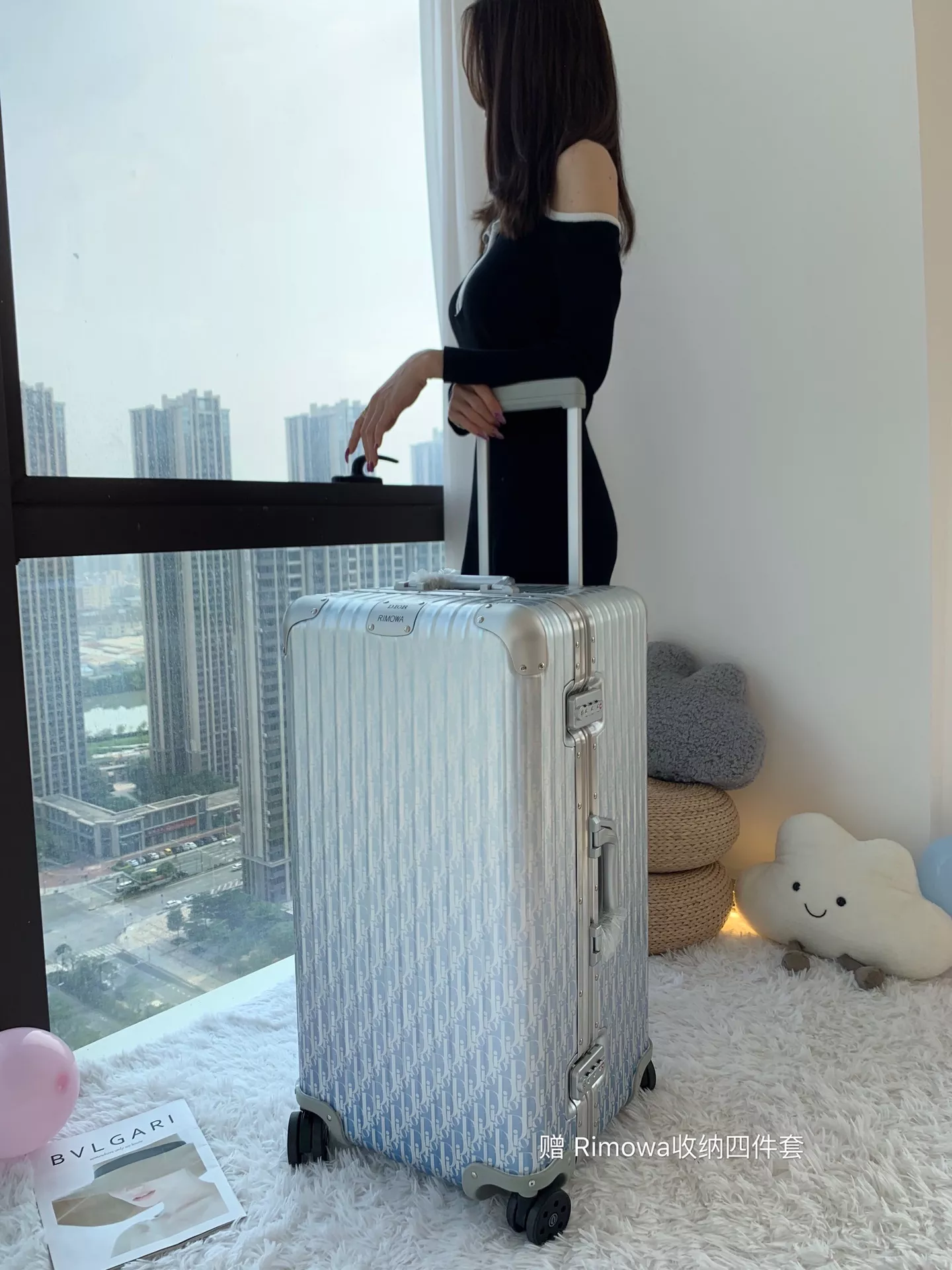 디올 알루미늄 트렁크 캐리어 상세 이미지 10