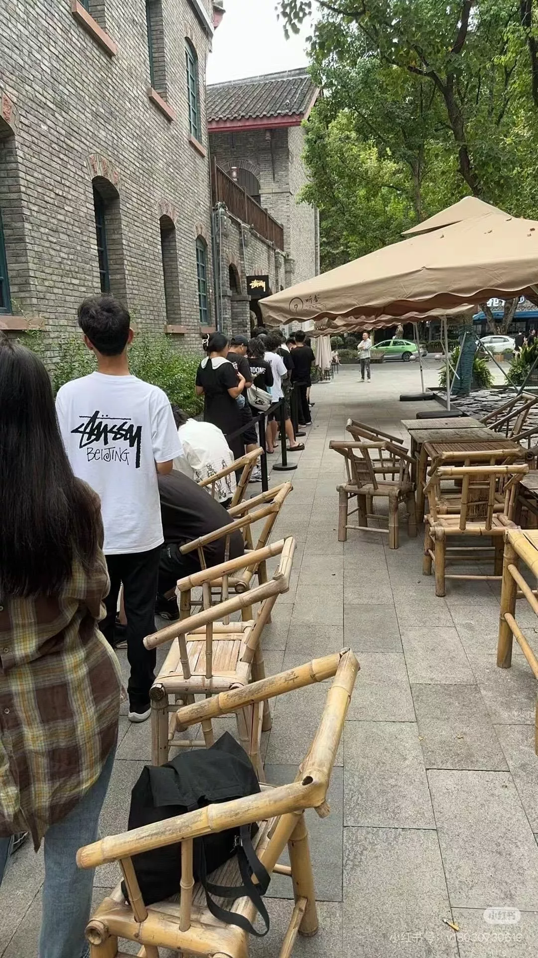 body_f41103e1f078a5da.webp