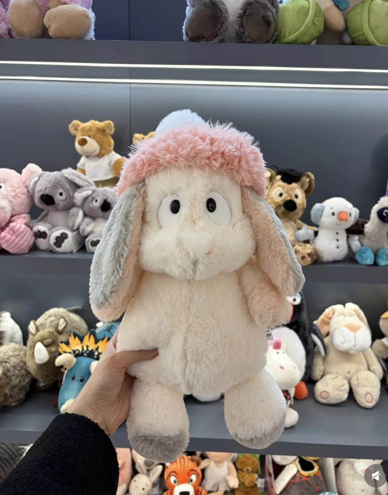 니키 스노우 래빗 봉제 인형 상세 이미지 8