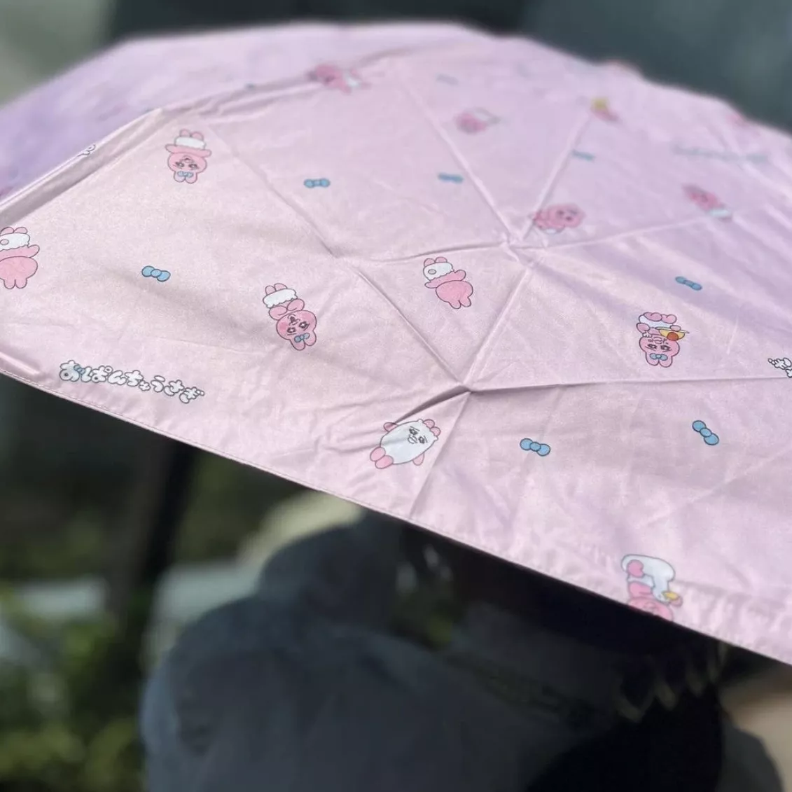 더블피씨 캐릭터 콜라보 양우산 상세 이미지 57