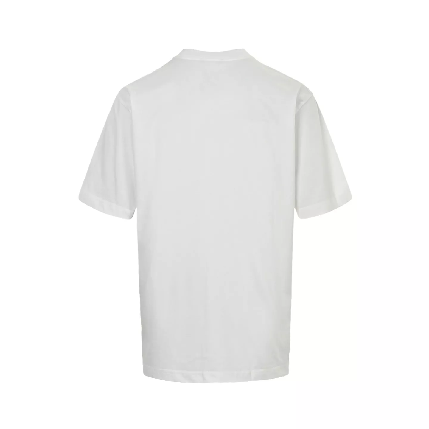 body_04d00e41945a74fb.webp
