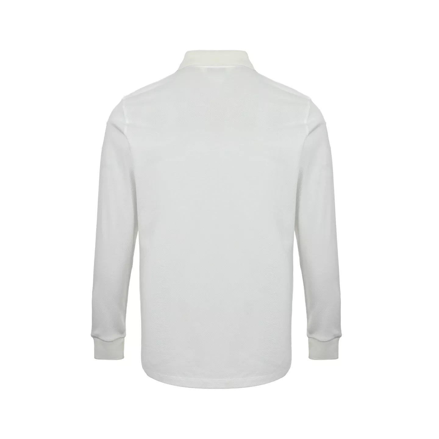 body_ecc8053a6e3faf9d.webp