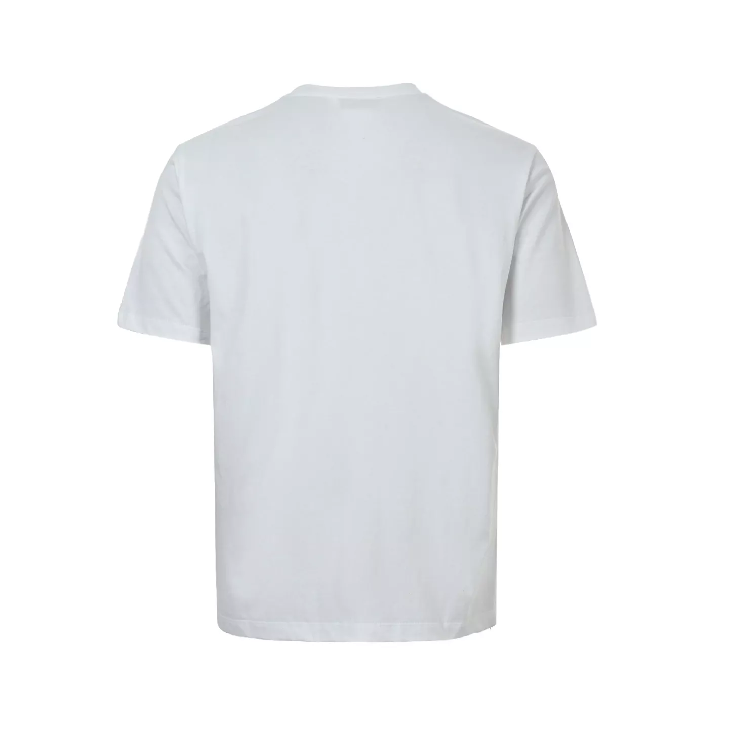 body_82bbaf1aa4017b2f.webp