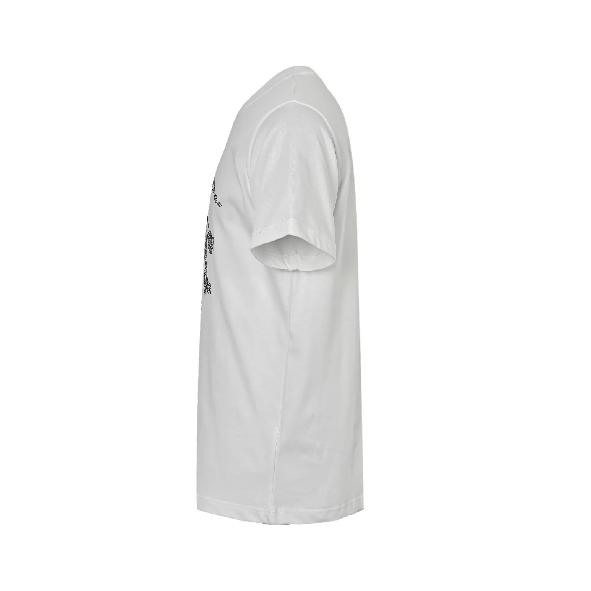 body_f517ea9f24bdcbe1.webp