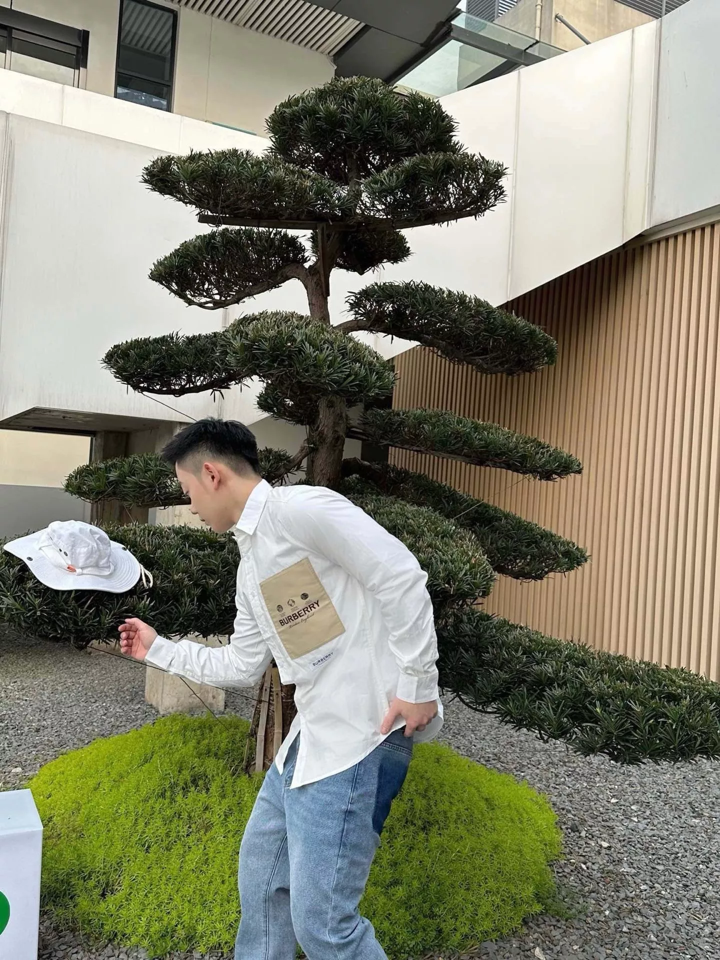 body_0ba17775e52aaf85.webp