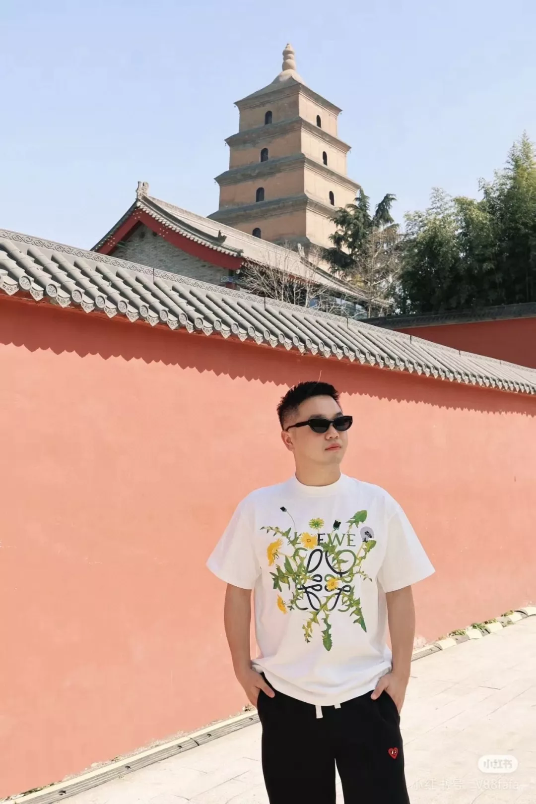 body_7a55505a50cbe7d1.webp