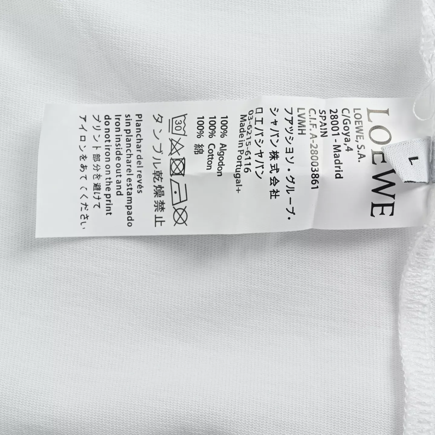 body_c80416e46a462546.webp