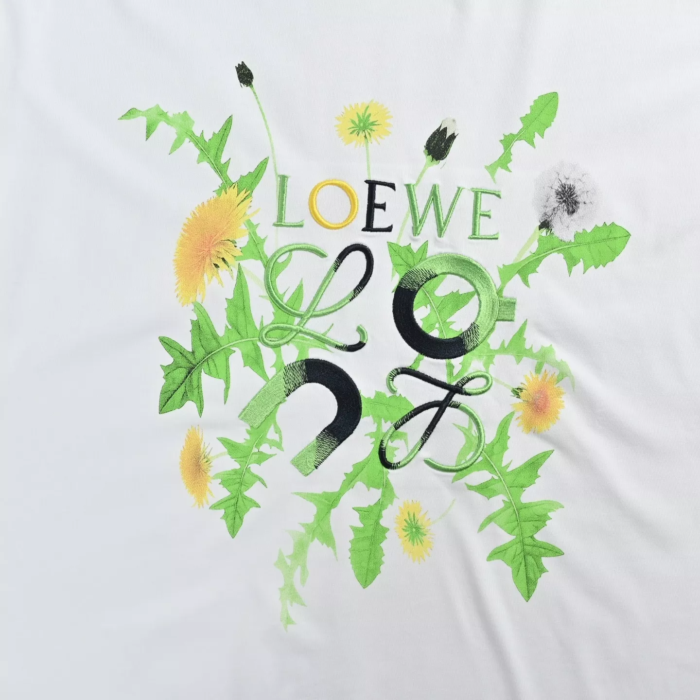 body_dfdbdef953ebd75f.webp